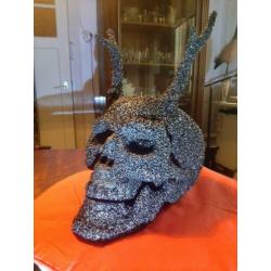Menslijke Skull, schedel met hoorns