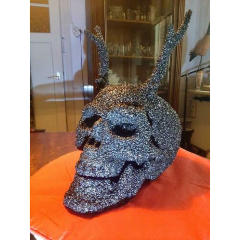 Menslijke Skull, schedel met hoorns