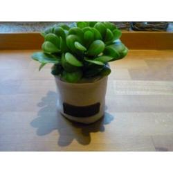 Nieuw: leuk imitatie vetplantje in stoffen potje
