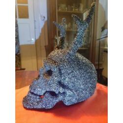 Menslijke Skull, schedel met hoorns