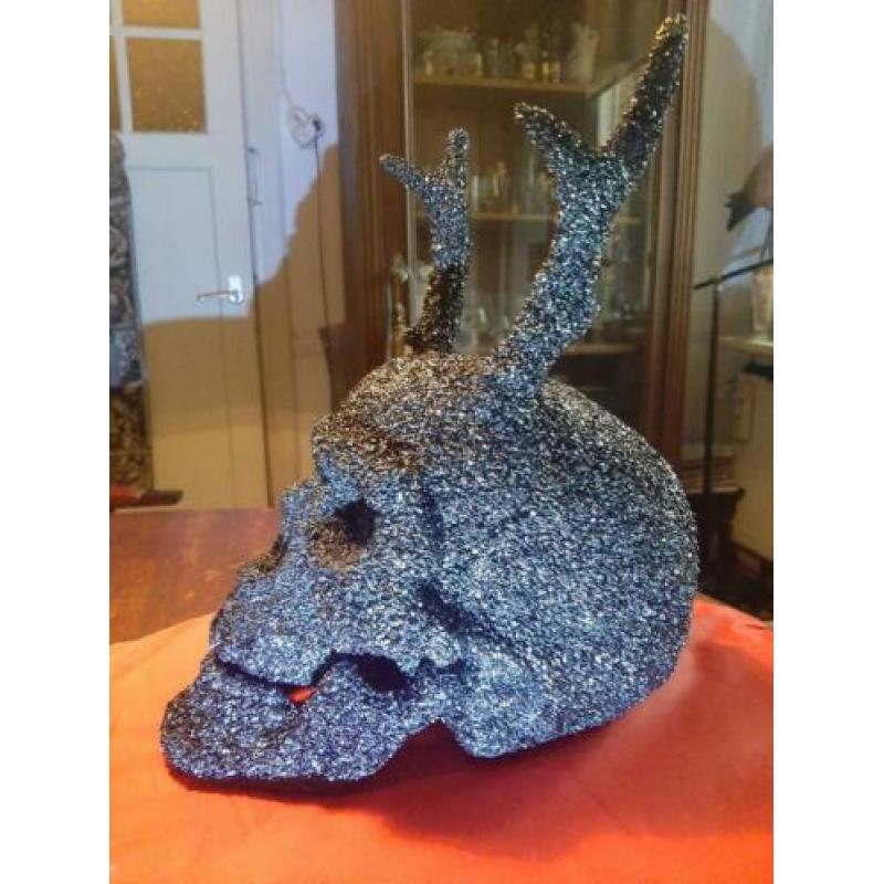 Menslijke Skull, schedel met hoorns