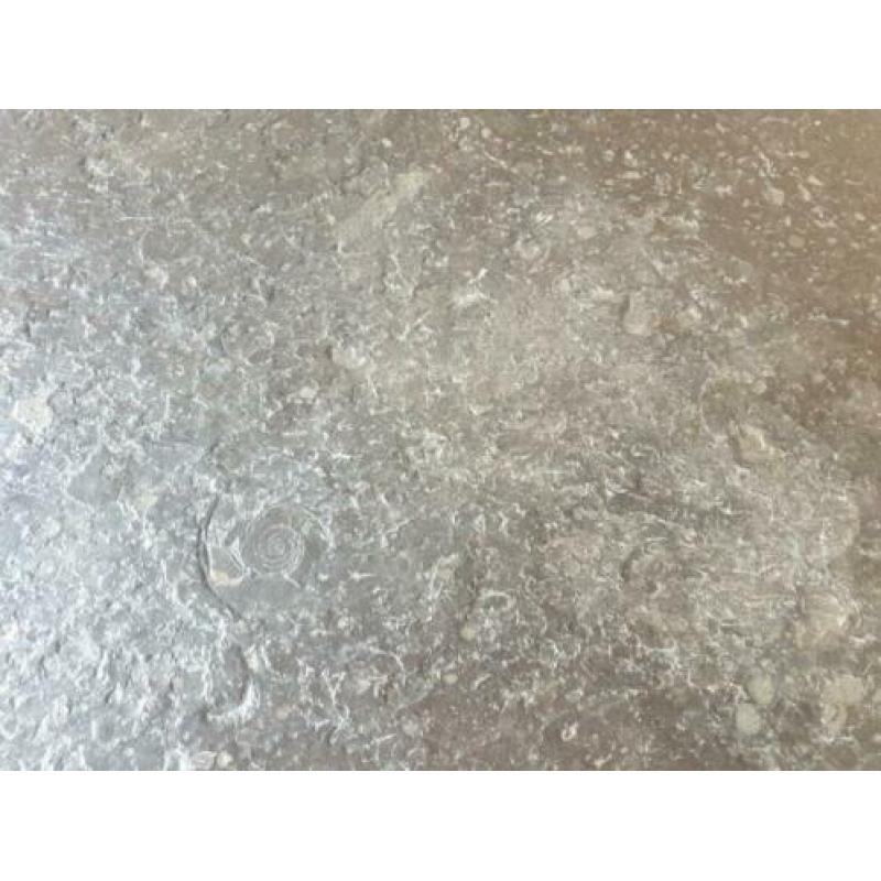 2 jaren 70 fossil tables salontafels vintage design