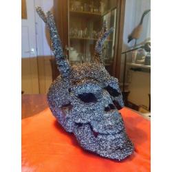 Menslijke Skull, schedel met hoorns
