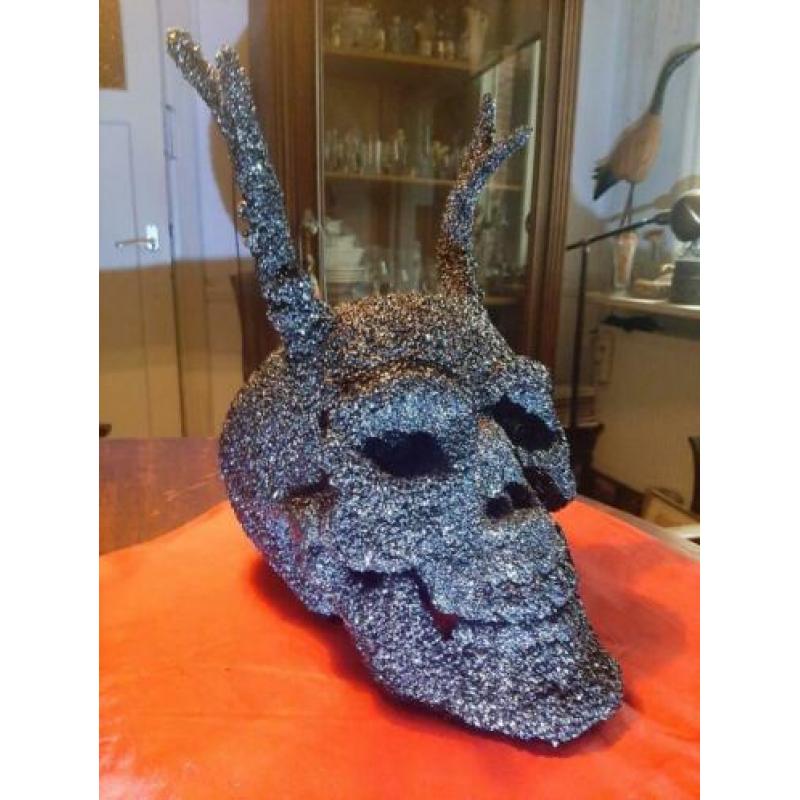 Menslijke Skull, schedel met hoorns