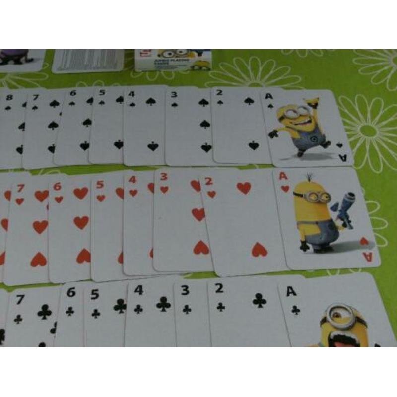 Nieuw: Grote kaarten Despicable ME (verschrikkelijke Ikke)