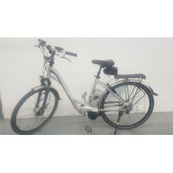 Flyer t8 50cm frame