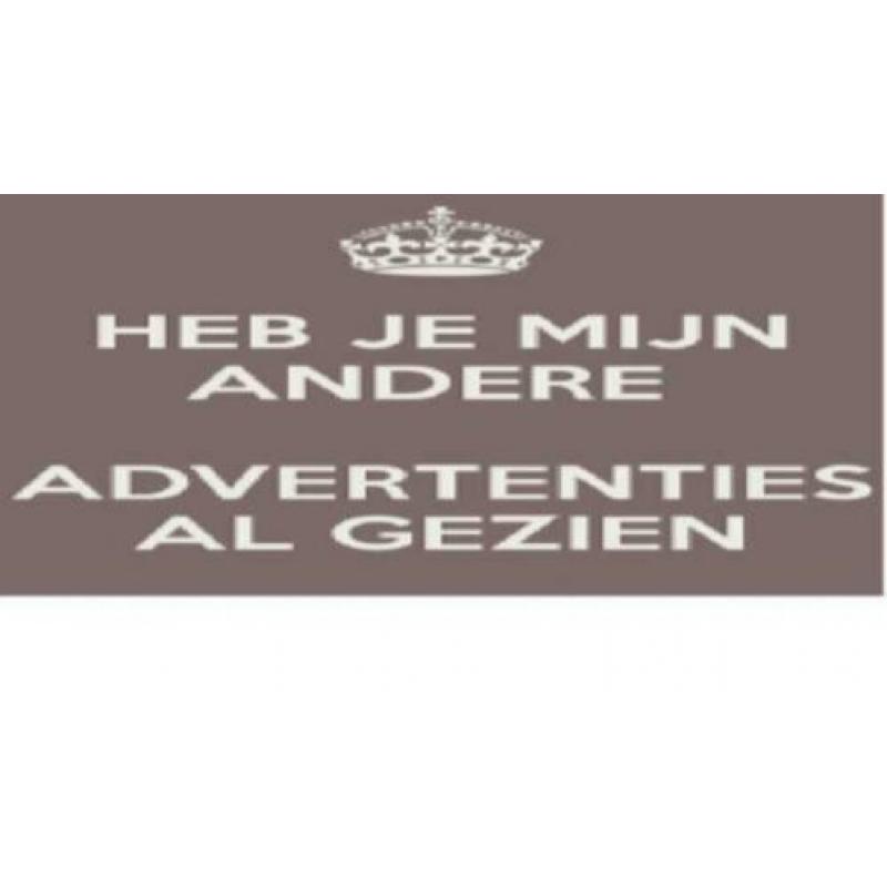 Vintage Spaarpot lieveheersbeestje