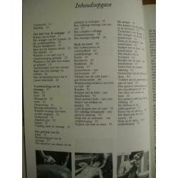 De nieuwe sensuele massage – Gordon Inkeles
