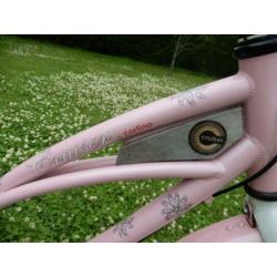 hele coole 26 inch Cortina Cruiser met 3 versnellingen