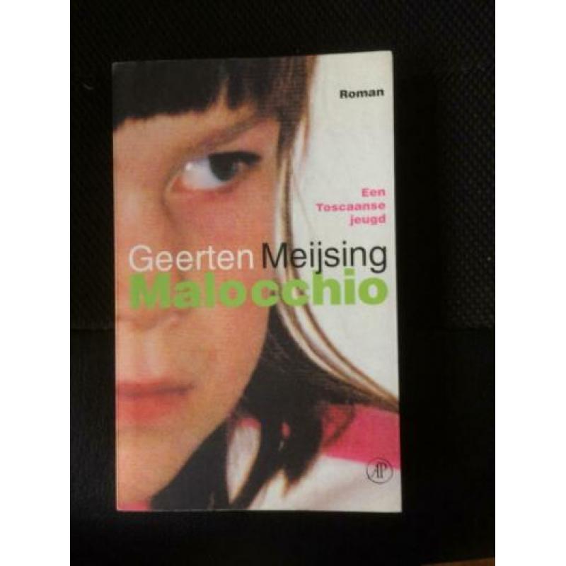 4 x GEERTEN MEIJSING IN EEN KOOP