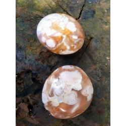 2 stuks XL handsteen bloem agaat/ flower agaat