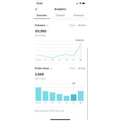 102k tiktok account