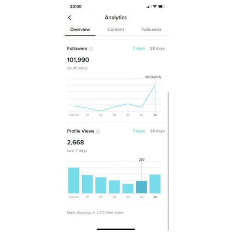102k tiktok account
