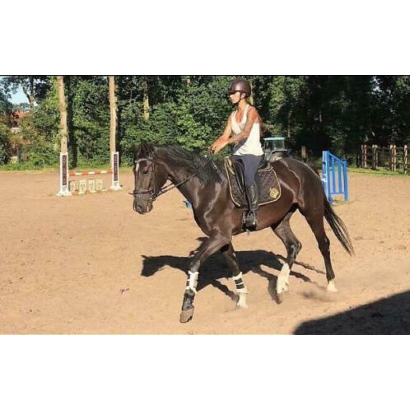 Zadelmak maken/ training
