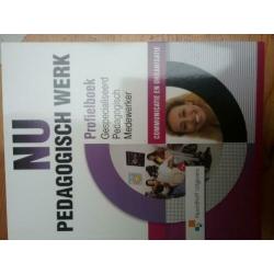 nu pedagogisch werk