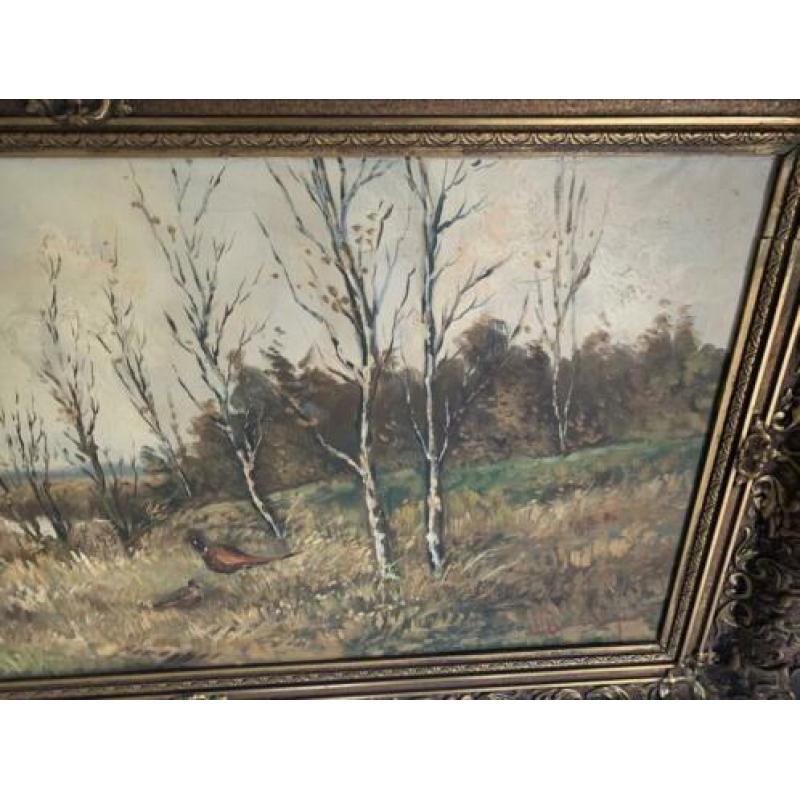Fazanten in het wild, Jan van Vlaardingen 1913 - 1980