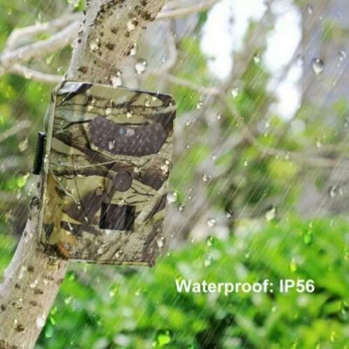 te koop wildcamera camouflage camera spionage nieuw 1080 dp