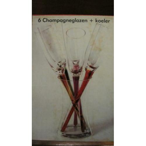 Champagne glazen & koeler