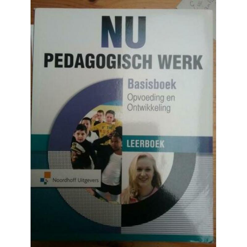 nu pedagogisch werk