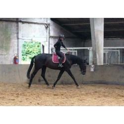 Zadelmak maken/ training
