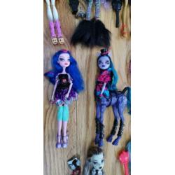 Monster high poppen