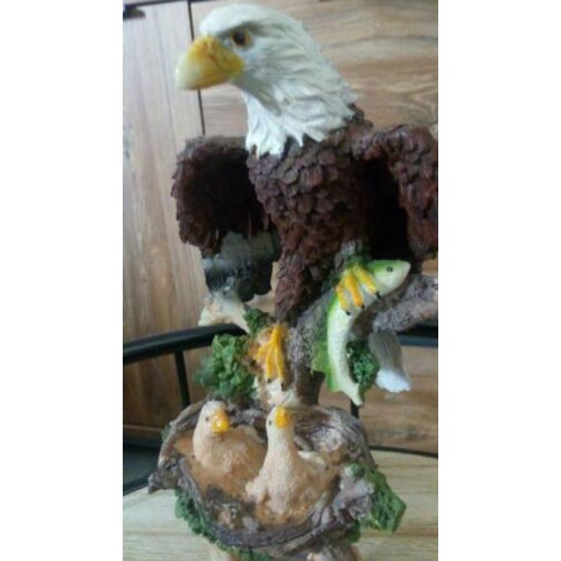 Beeldje Amerikaanse Zeearend Vogel Beeld Arend