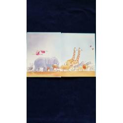 Ark van Noach kinderboek