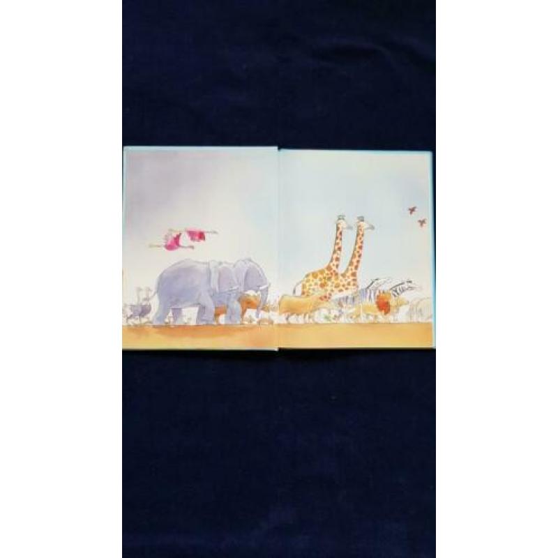 Ark van Noach kinderboek