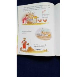 Ark van Noach kinderboek