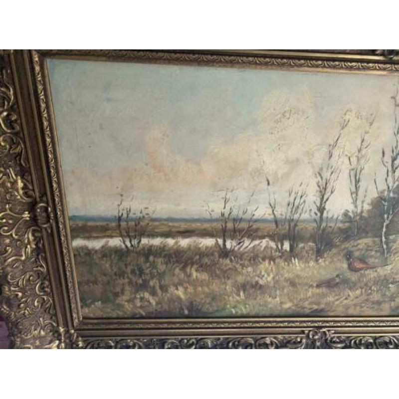 Fazanten in het wild, Jan van Vlaardingen 1913 - 1980