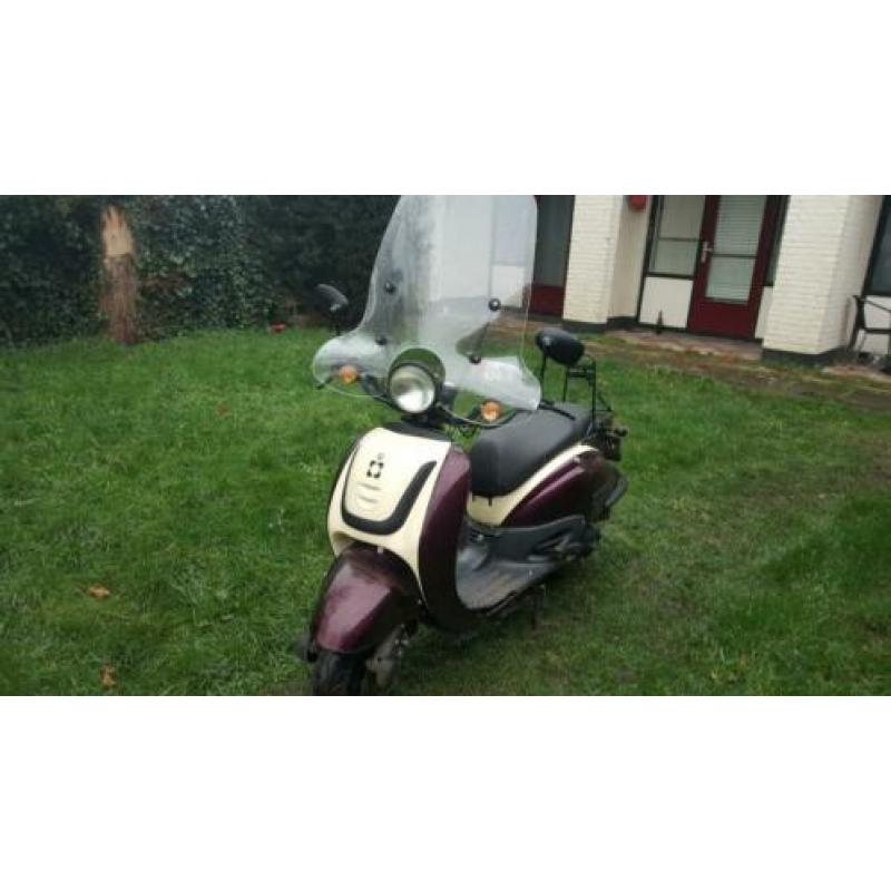 Agm retro 2015 met Schade