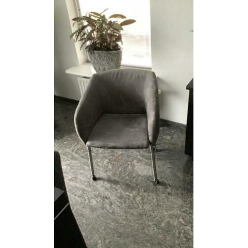 Super leuke kuipstoelen een eyecather aan u eettafel