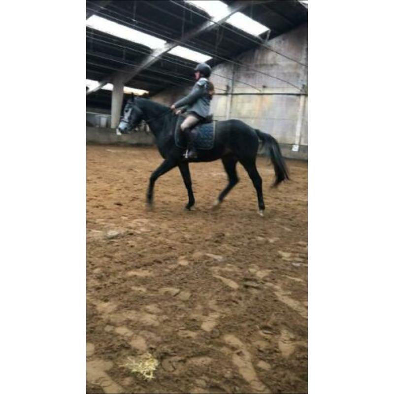 Zadelmak maken/ training