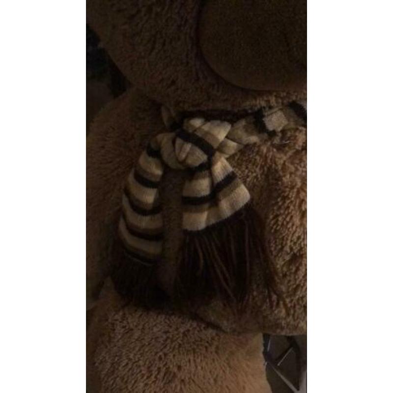 Leuke knuffelbeer 85 cm groot!