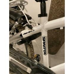 Sparta Young gravity 24 inch