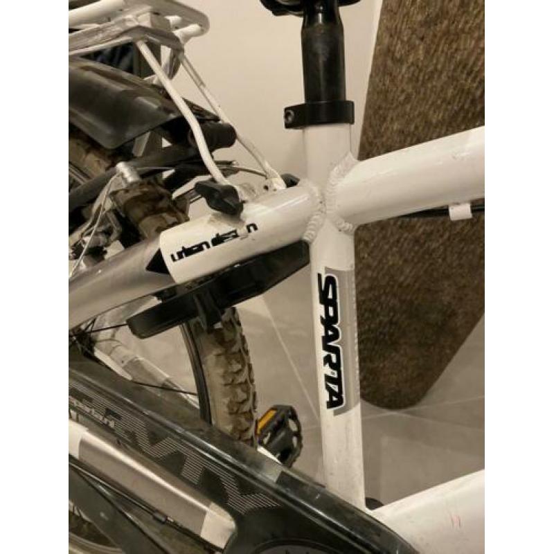 Sparta Young gravity 24 inch