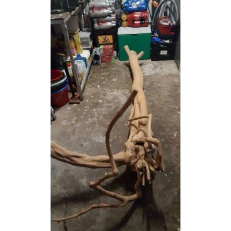 Mooie bewerkte boomstam van 180 cm