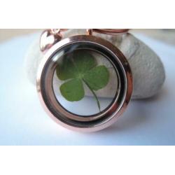 Medaillon sleutelhanger met echt klavertje vier uniek locket