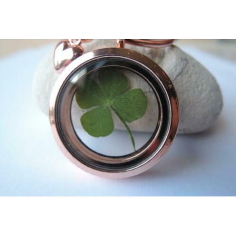Medaillon sleutelhanger met echt klavertje vier uniek locket