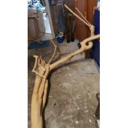 Mooie bewerkte boomstam van 180 cm