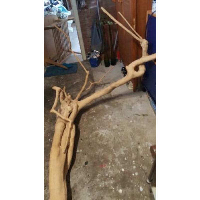 Mooie bewerkte boomstam van 180 cm