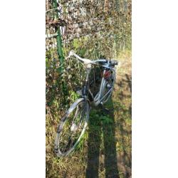 Batavus damesfiets 53 inch
