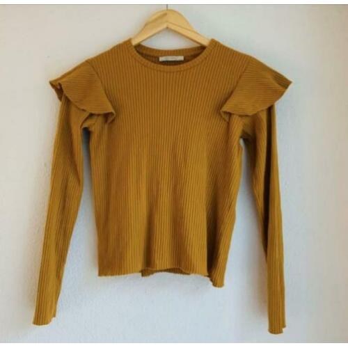 Zara trui