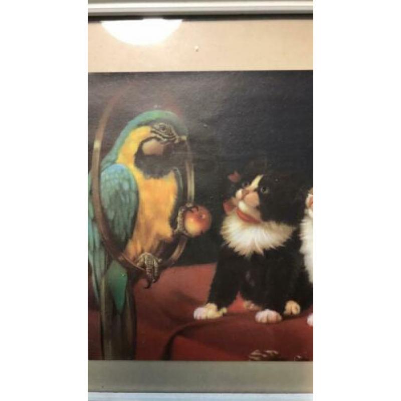 Vintage / retro poezen plaatje in gebroken wit lijstje