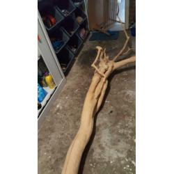 Mooie bewerkte boomstam van 180 cm
