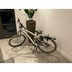 Sparta Young gravity 24 inch