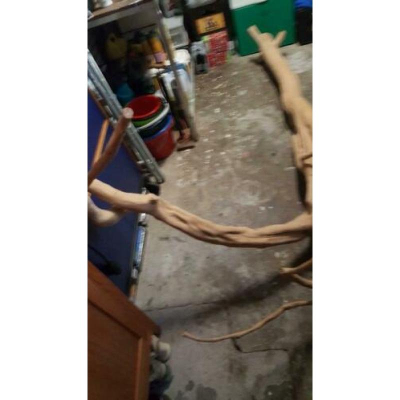 Mooie bewerkte boomstam van 180 cm