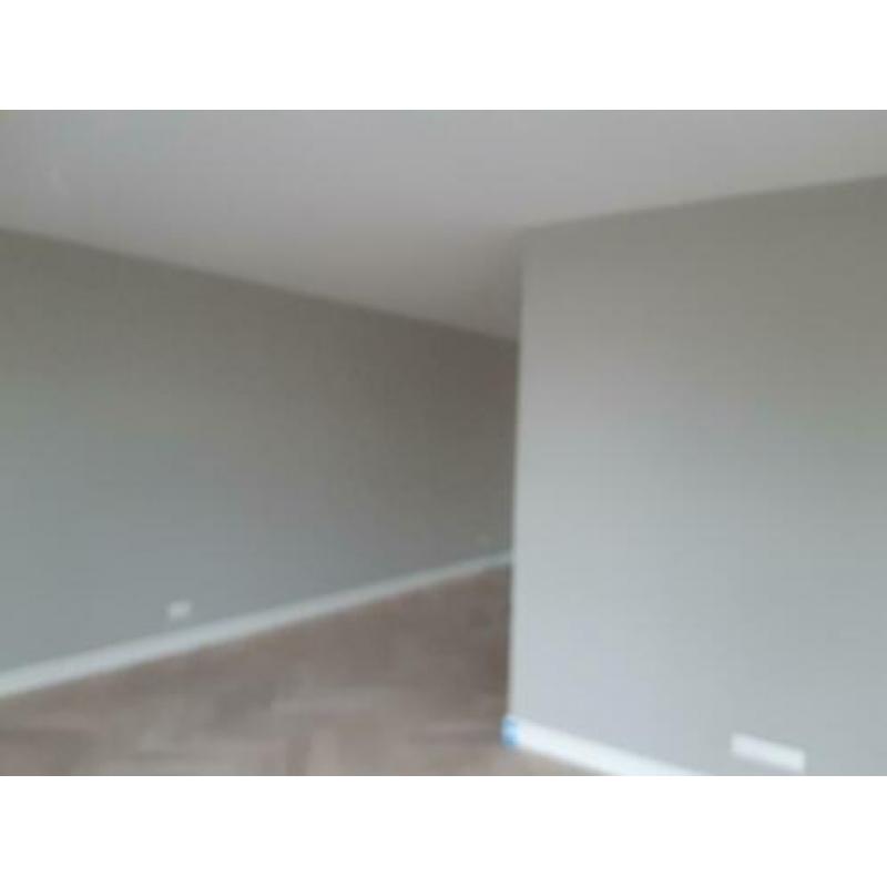 muurverf sand grey