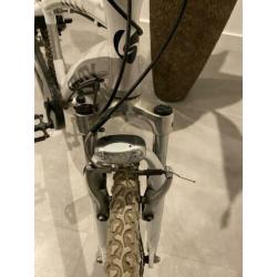 Sparta Young gravity 24 inch