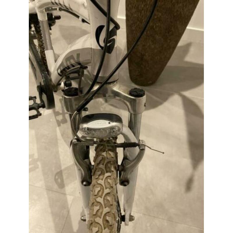 Sparta Young gravity 24 inch